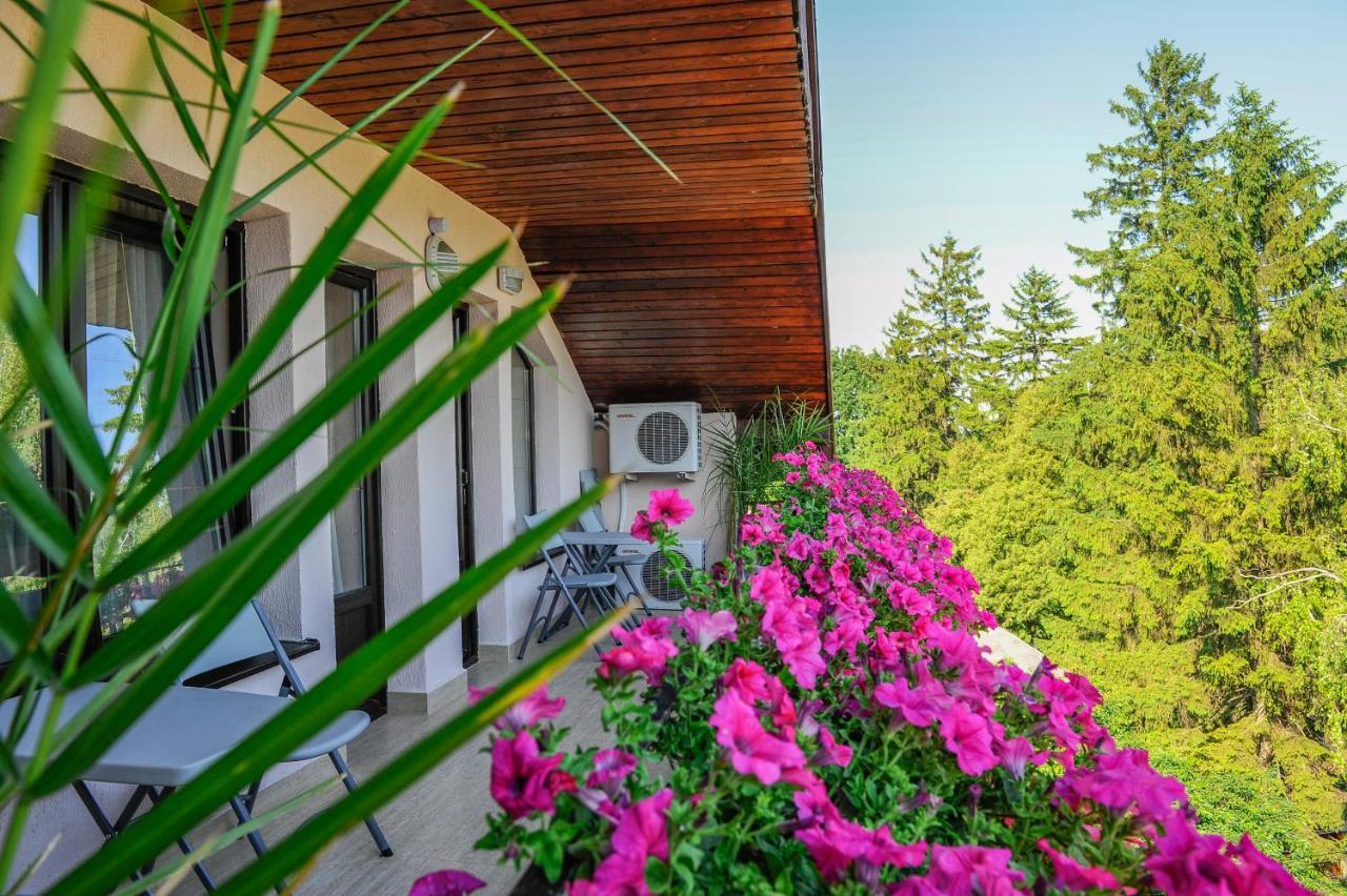 Villa Alice Сучеава Екстериор снимка