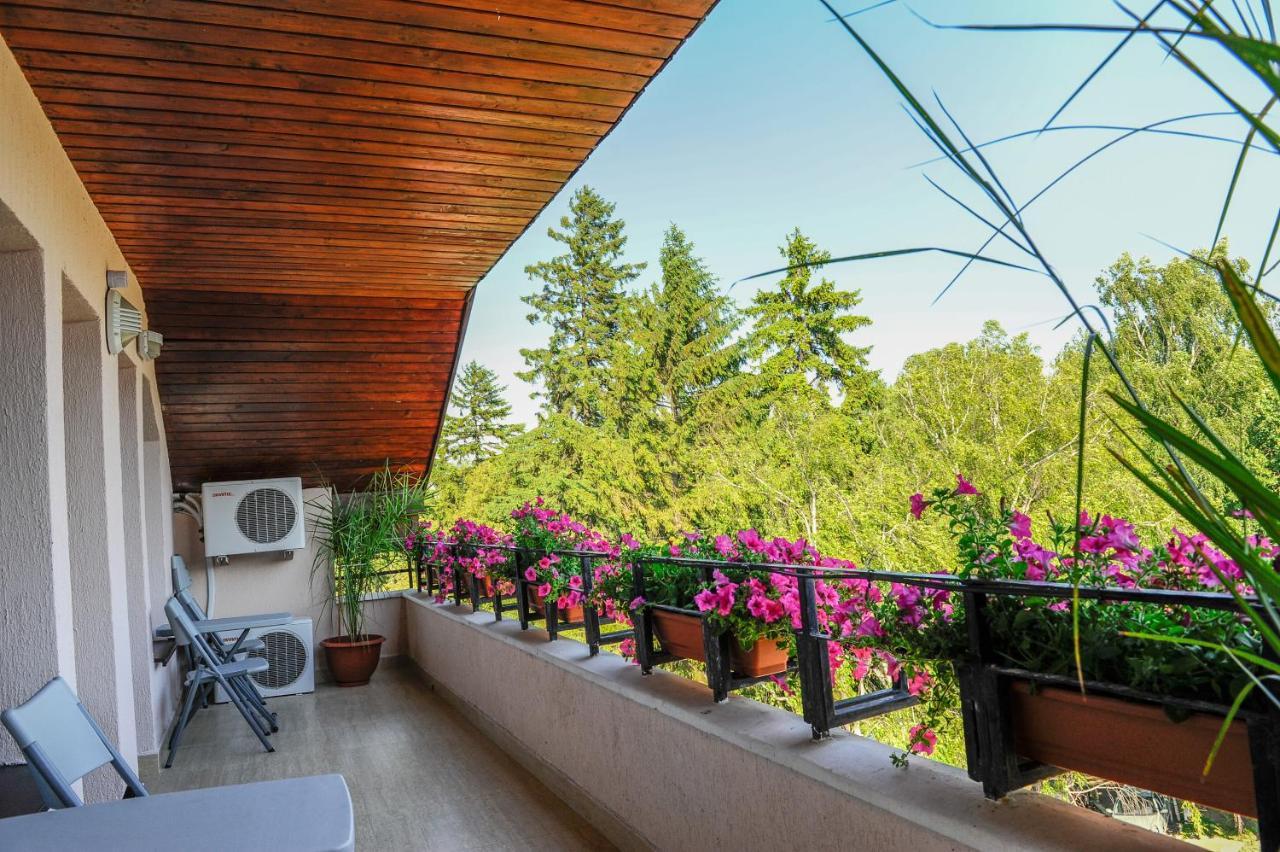 Villa Alice Сучеава Екстериор снимка